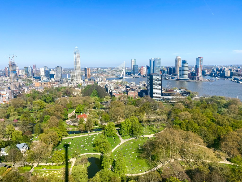 Qué ver en Rotterdam en 1-2&nbsp;días