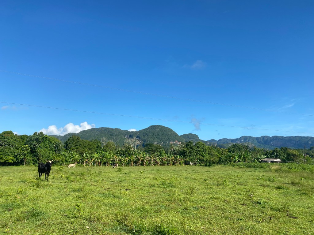 Parque nacional de Viñales
