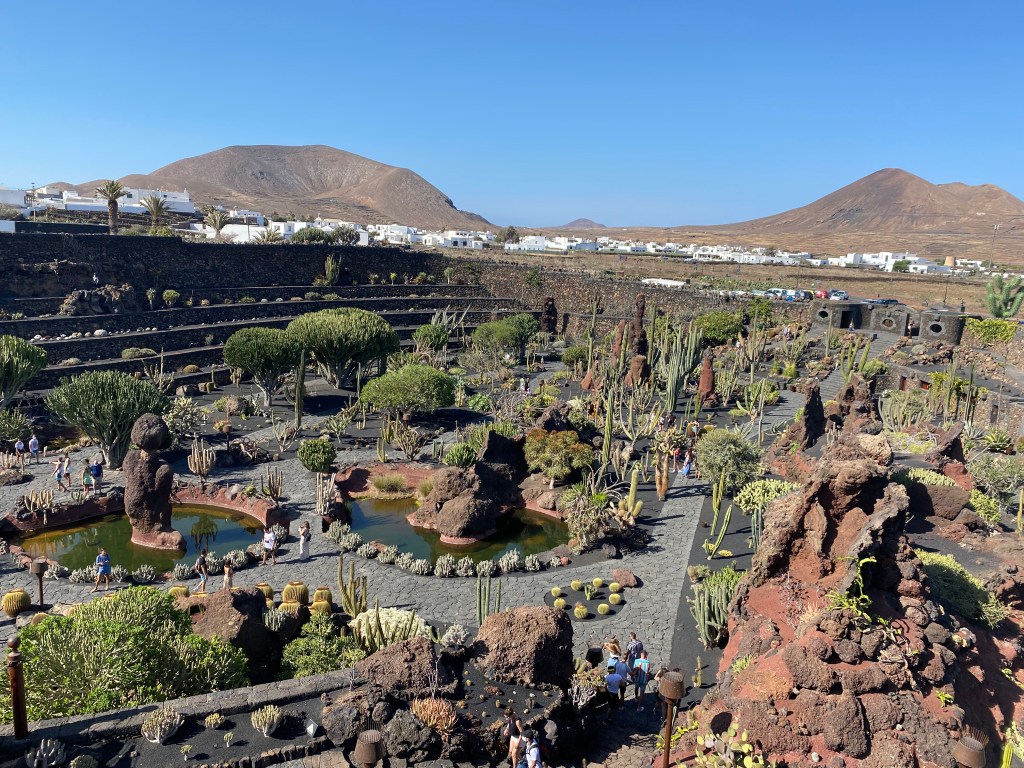 Panoramica Jardin del cactus