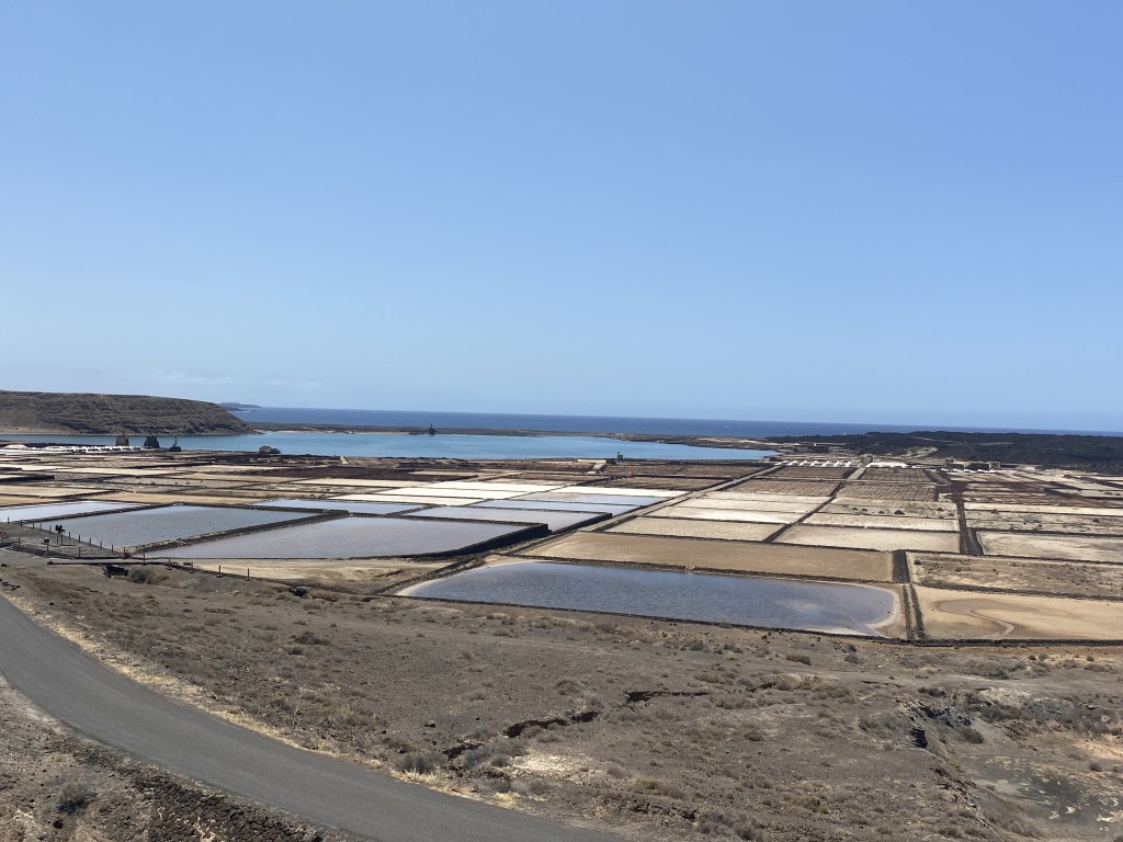 Salinas del Janubio